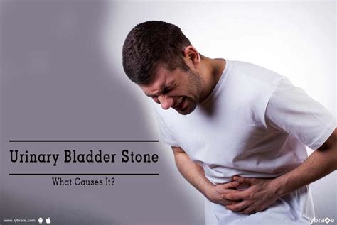 Urinary Bladder Stone What Causes It By Dr Amit Goel Lybrate