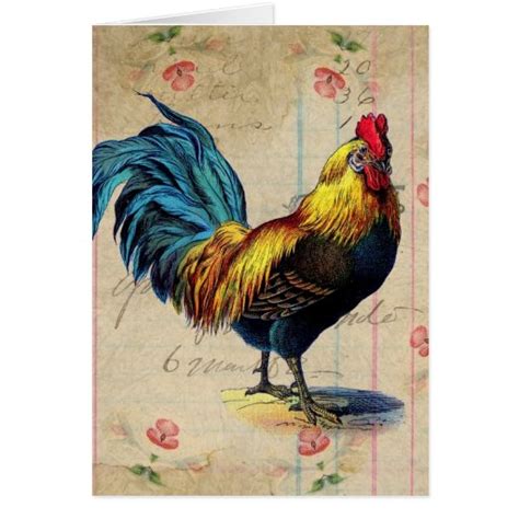 Vintage Rooster Birthday Cards Zazzle