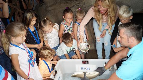 Das verriet die einstige moderatorin des inzwischen eingestellten fernsehsenders viva am wochenende bei instagram. SEA LIFE Oberhausen: Gülcan Kamps tauft 3 Haifisch-Babys