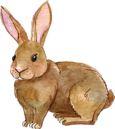 Bunny Clipart Realistic Pictures On Cliparts Pub 2020 🔝