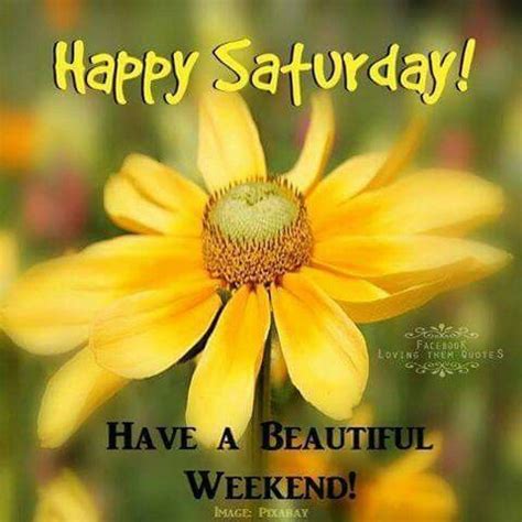 Your quote saturday stock images are ready. Happy Saturday Have A Beautiful Weekend Pictures, Photos, and Images for Facebook, Tumblr, Pi ...