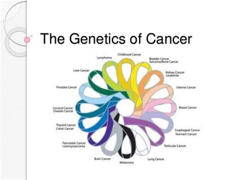 The Genetics Of Cancer