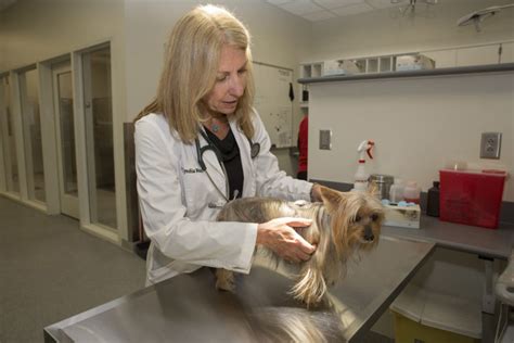 Veterinary Medical Center Marks Two Year Anniversary Of Opening Uga Today