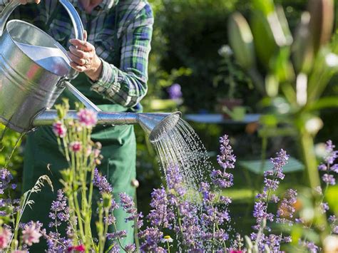 The 8 Benefits Of Gardening For Mental Health And Well Being