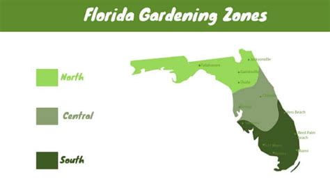 Florida Vegetable Planting Calendar Fl Gardening