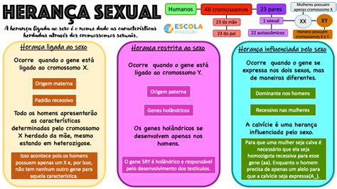 Mapa Mental Mapa Mental Images Porn Sex Picture Free Download Nude