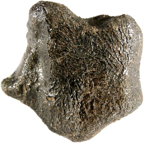 Monthly Favourite Meteorite Camel Donga Meteorites Australia
