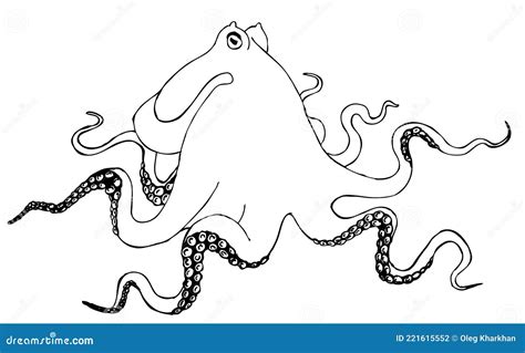 Octopus Drawing For Coloring Stock Vector Illustration Of Nature Cartoon