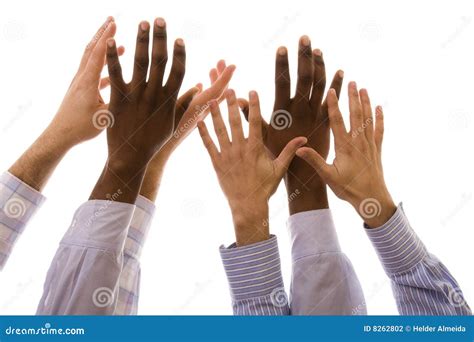 Multiracial Hands Stock Photo Image Of Gesture Many 8262802