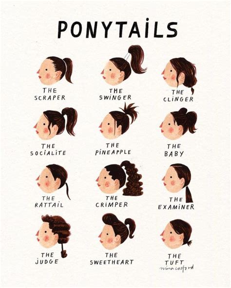 Types Of Ponytails Face Shape Hairstyles Natural Hair Styles Curly Hair Styles