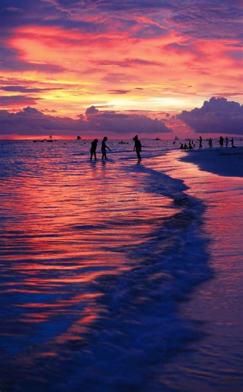 Summer Beach With Beautiful Sunset Stock Image Image Of Black Nature