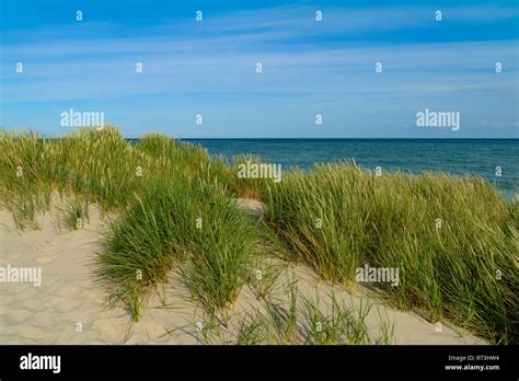 Denmark Jutland Skagen Grenen Dune Landscape Stock Photo Alamy