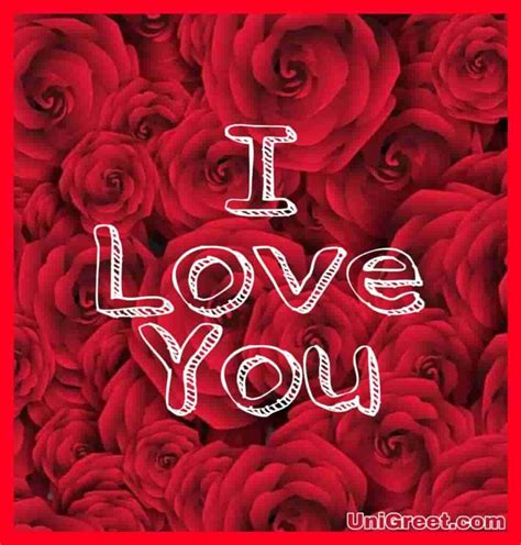 Red and black rose wallpapers. Top 55 Beautiful I Love You Roses Images Photo Pics ...