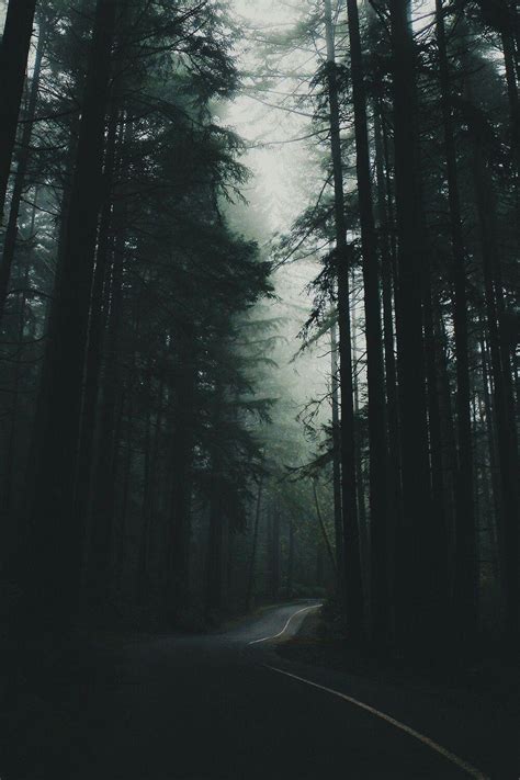 Customize and personalise your desktop, mobile phone and tablet with these free wallpapers! Aesthetic Forest HD Wallpapers - Wallpaper Cave