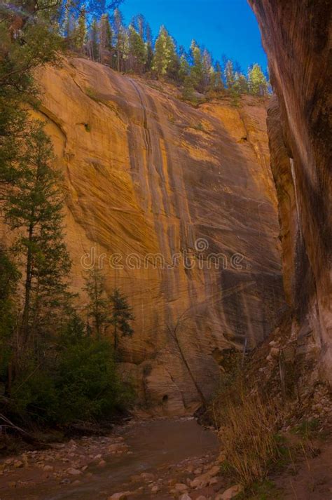 Zion National Park Hiking The Narrows Usa Stock Image Image Of