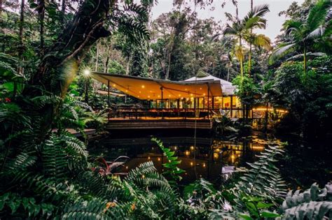 Things To Do In The Daintree Rainforest Queensland