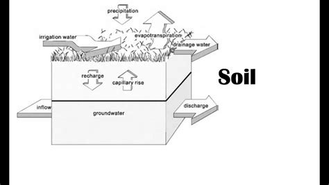 Csec Cxc Soil Leaching Capillary Action Illuviation And Elluviation
