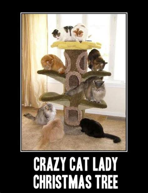 Crazy Cat Lady Christmas Tree Dump A Day