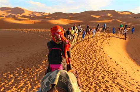 The Sahara Desert Wildlife Plants People And Cultures Interesting