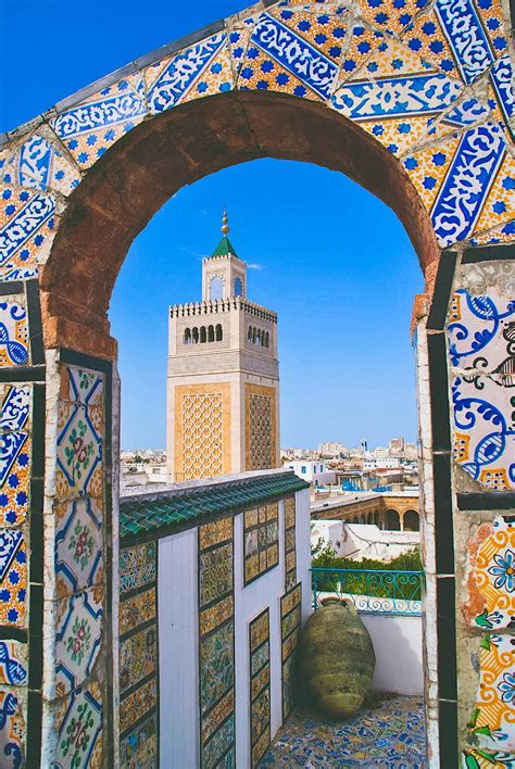 Best Things To Do In Tunis In Spring Lonely Planet