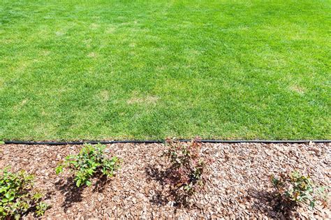 Premium Photo Manicured Lawn On Backyard