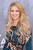 Shakira Mebarak photo 1126 of 1334 pics, wallpaper - photo #688883 ...