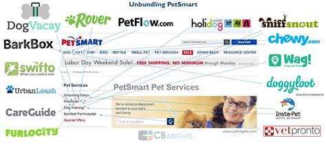 Dry dog food is perhaps the most popular dog food purchased in india. Pet Services Gets a Tech Makeover: The Startups Unbundling ...