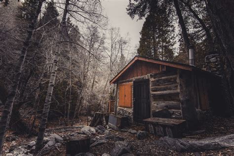 Abandoned Broken Cabin Calamity Daylight Forest Frost Home