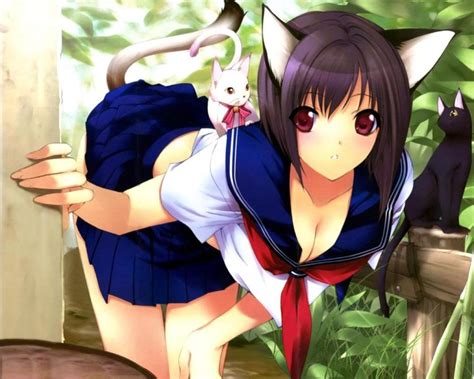 Schoolcatgirl Catgirl Neko Know Your Meme