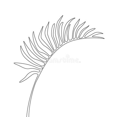 One Line Drawing Banana Leaf Continuous Line Exotic Tropical Plant