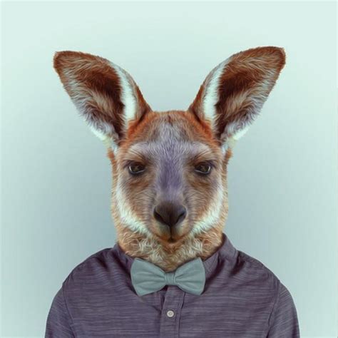 Animals Portraits By Yago Partal Art And Design