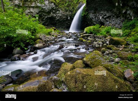 Upper Oneonta Falls In Columbia River Gorge Stock Photo Alamy