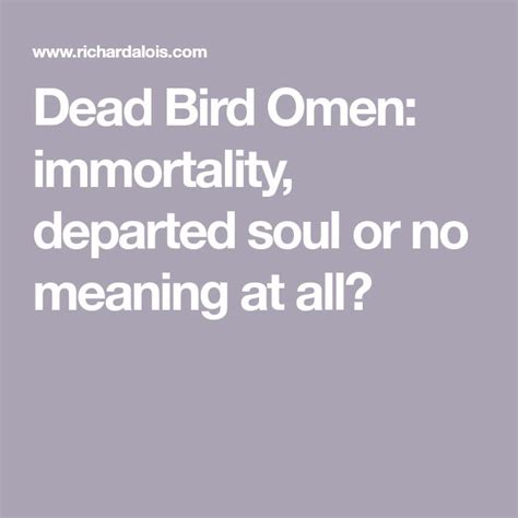 Dead Bird Omen Immortality Departed Soul Or No Meaning At All In 2020 Meant To Be Dead