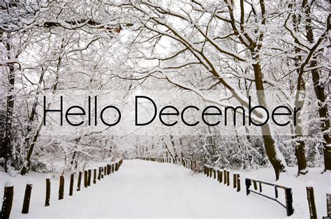 Hello December Month December December Quotes Hello December Happy