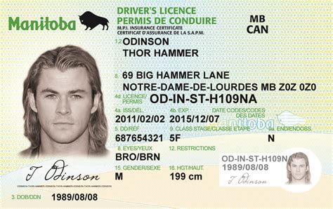Manitoba Drivers License Id Viking