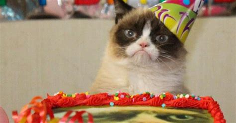 Happy Birthday Grumpy Cat Pictures