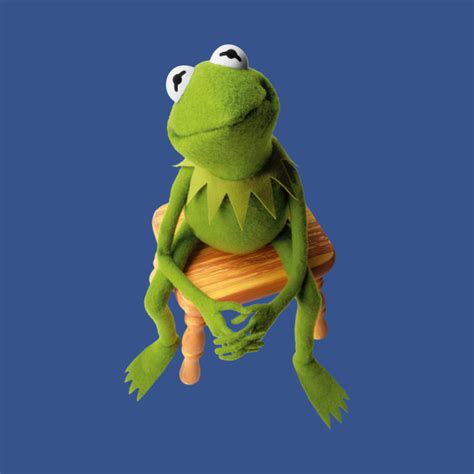 Kermit Disappointment Kermit The Frog Long Sleeve T Shirt Teepublic