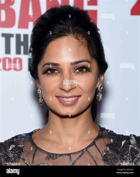 Aarti Mann Attending The Big Bang Theory Celebrates 200th Episode Held At The Vibiana Stock
