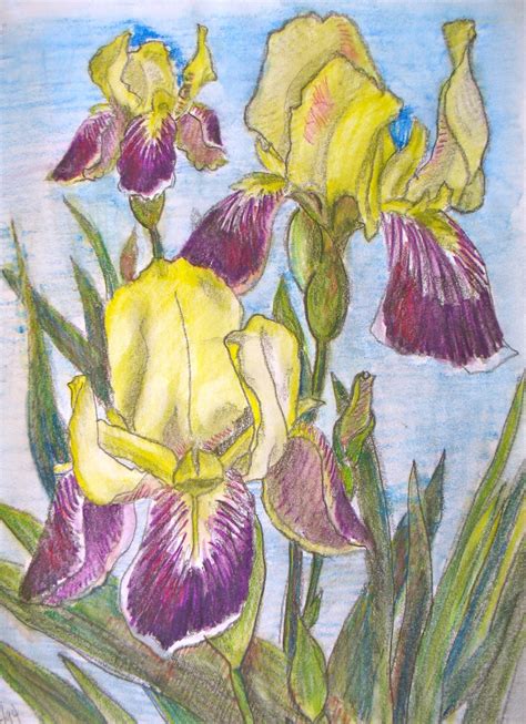 We did not find results for: The Painted Prism: FLOWERS: 10 Sketchbook Exercises to Try