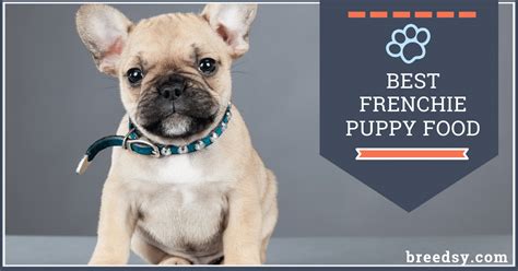 With deboned turkey and salmon oil, your pup also gets the essential epa and dha for brain development. 8 Best Foods for a French Bulldog Puppy with Our Most ...