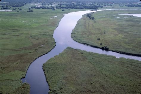 5 Reasons To Save The Okavango Delta Greenpeace Africa