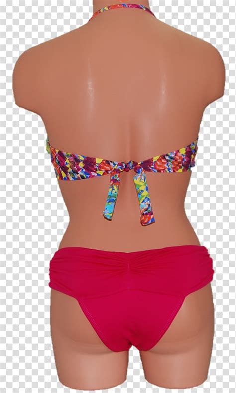 Maillot Waist Bikini Top Swimsuit Bikini Bottom Transparent Background Png Clipart Hiclipart