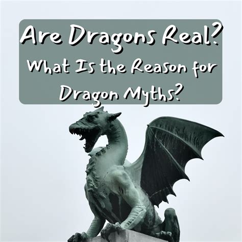 Are Dragons Real What Is The Reason For Dragon Myths Owlcation