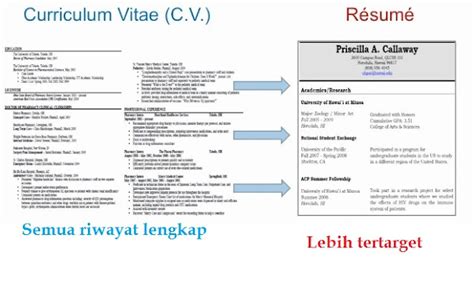 Perbedaan Curriculum Vitae Cv Dan Resume