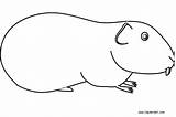 Coloring Pages Pig Guinea Simple Kids Printable sketch template