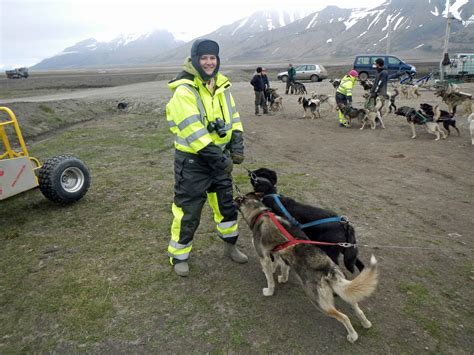 Dog Carting Dog Sledding In Svalbard With Green Dog Review Powers