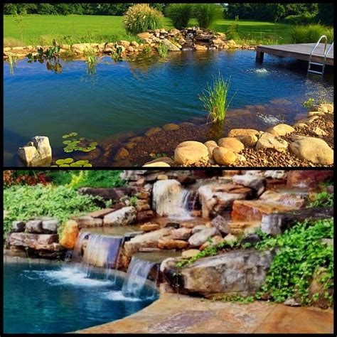 Recreational Ponds Natural Swimming Pools Nsp Carters Nursery