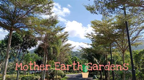 Mother Earth Gardens Calauan Lagunagarden Landscaping Youtube