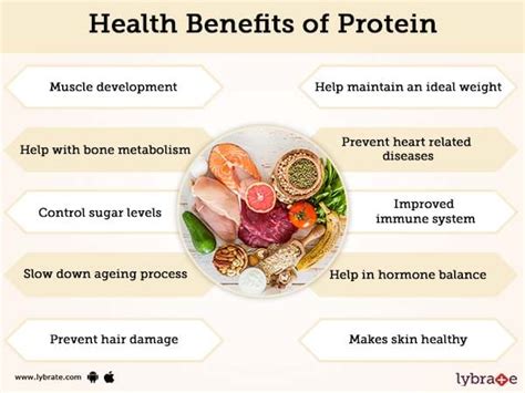 Benefits Of Proteins In A Balanced Diet Proteinwalls