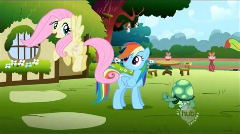 S2e7 Rainbow Dash And Fluttershy Best Pet For Me Hq Download